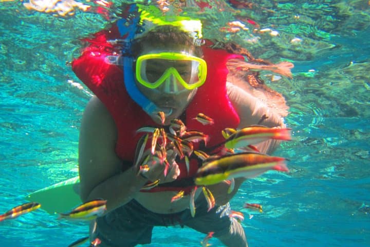 Huatulco Family Snorkeling: 3-Hour Coastal Wildlife & Guide-Led Experience photo 2
