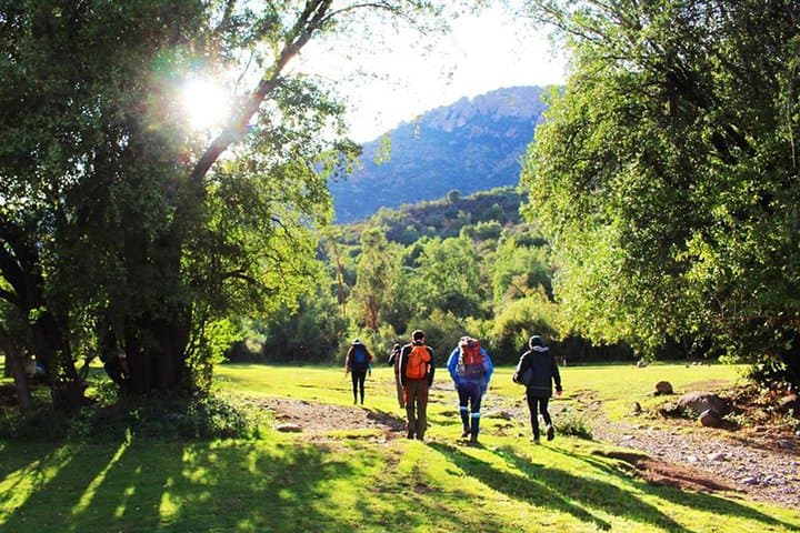 Half-Day Hike to Manquehue Hill: Panoramic Andes Views from Santiago photo 5