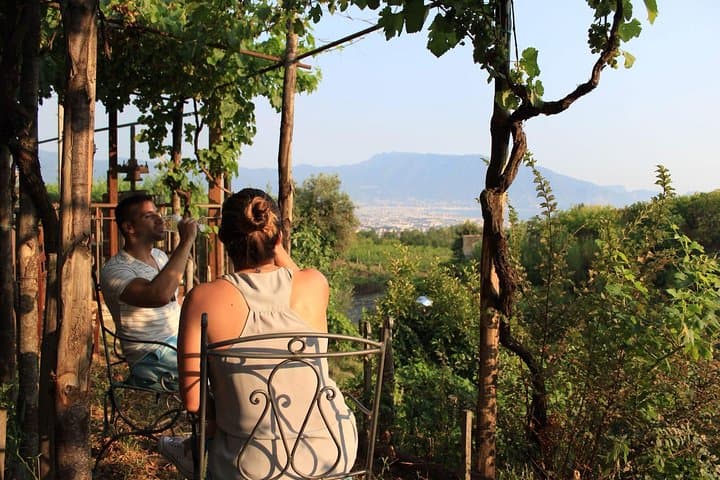Horseback on Vesuvius: Scenic Ride, Volcanic Wine Tasting & Lunch photo 3