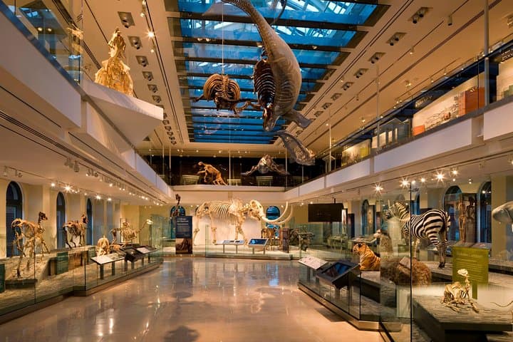 Explore the Natural History Museum of Los Angeles County: Dino Halls, Gems & Nature Gardens photo 6