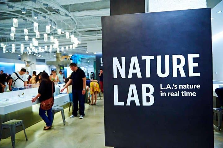 Explore the Natural History Museum of Los Angeles County: Dino Halls, Gems & Nature Gardens photo 4
