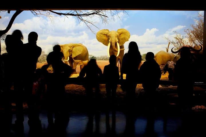 Explore the Natural History Museum of Los Angeles County: Dino Halls, Gems & Nature Gardens photo 2