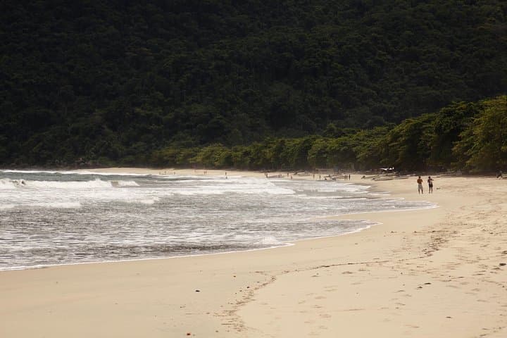 Paraty Rainforest Trek to Praia do Sono: Hike to Secluded Sono Beach photo 3