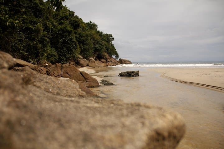 Paraty Rainforest Trek to Praia do Sono: Hike to Secluded Sono Beach photo 4