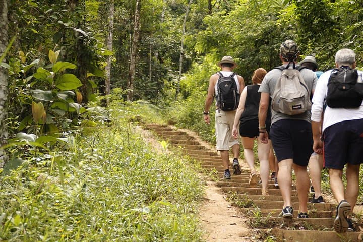 Paraty Rainforest Trek to Praia do Sono: Hike to Secluded Sono Beach photo 5
