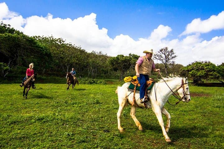 Private Advanced Trail Ride on Oahu’s North Shore — Gunstock Ranch photo 6