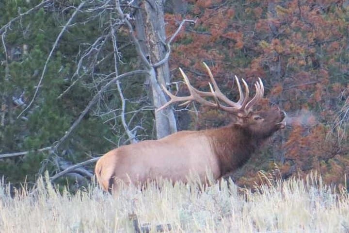 Grand Teton Private Full-Day Tour from Jackson Hole — Jenny Lake, Oxbow Bend & Mormon Row photo 3