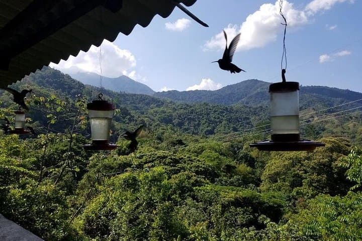 Discover Minca: Pozo Azul Waterfalls, Coffee & Cocoa Day Trip from Santa Marta photo 1
