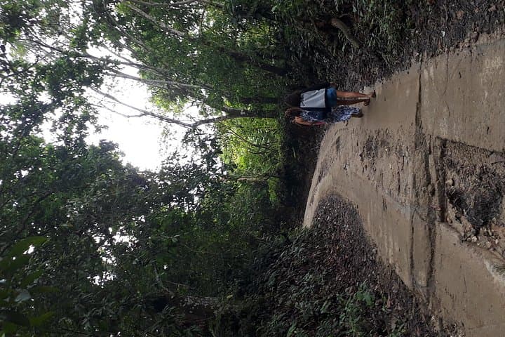 Discover Minca: Pozo Azul Waterfalls, Coffee & Cocoa Day Trip from Santa Marta photo 3