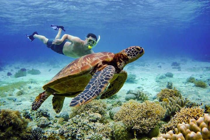Full-Day Canyoneering and Oslob Whale Shark Swim from Cebu photo 3