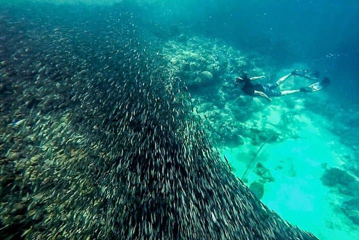 Full-Day Canyoneering and Oslob Whale Shark Swim from Cebu photo 4