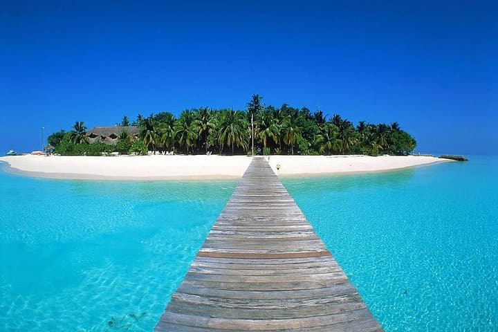 Full-Day Private Key West Tour from Miami with Glass-Bottom Boat photo 4