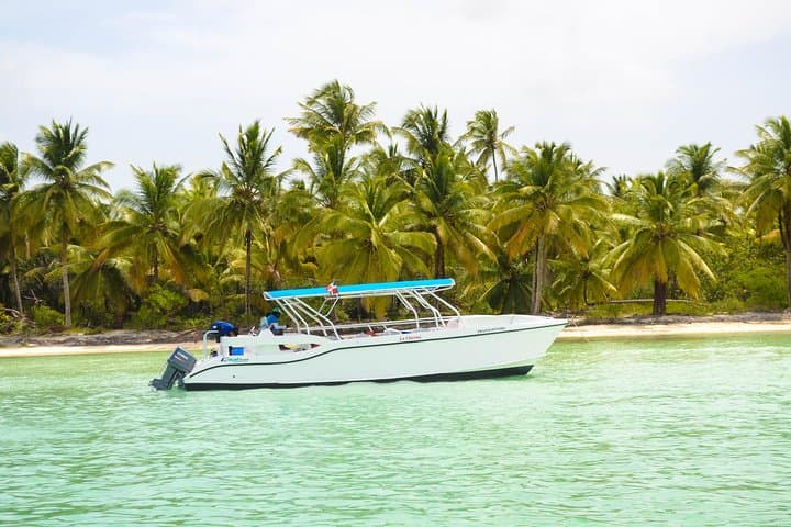 Saona Island Day Trip: Swim the Natural Pool and Beaches from Punta Cana photo 3