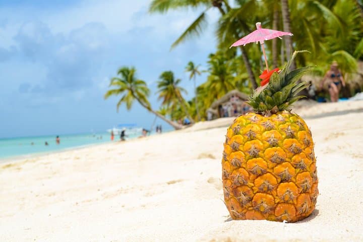 Saona Island Day Trip from Punta Cana: Speedboat, Natural Pool & Beach Time photo 3