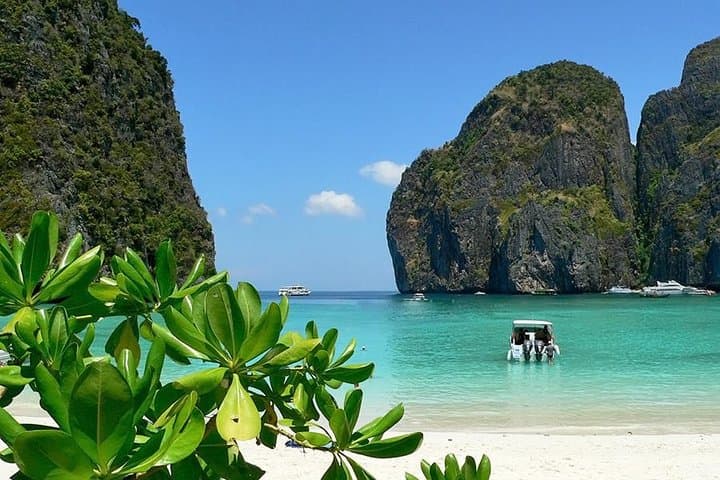 Phi Phi Islands Speedboat Day Trip from Krabi – Maya Bay & Snorkeling photo 5
