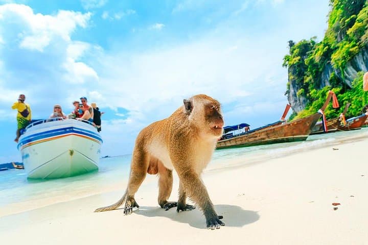 Phi Phi, Khai & Maiton Speedboat Day Trip from Phuket — Snorkel and Beaches photo 5