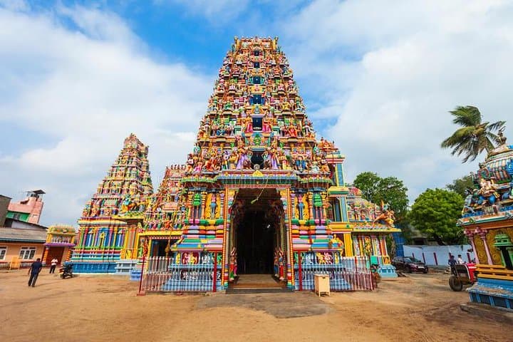 Sigiriya Day Tour to Trincomalee: Climb Lion Rock, Pidurangala Sunrise & Kaudulla Safari