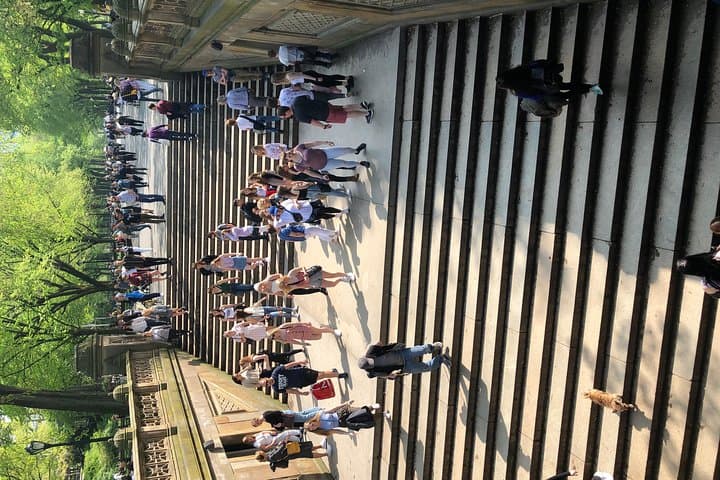 Central Park Classic 1-Hour Pedicab Tour: Scenic Hop-On Experience photo 4