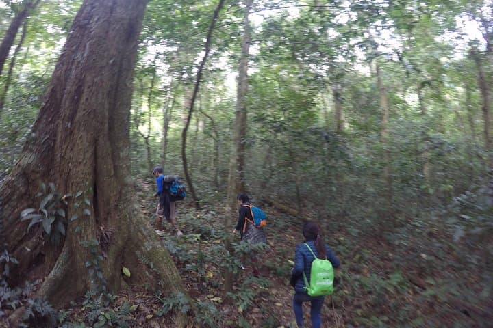 Hike and Bike Langbiang Mountain: One-Day Cycle and Summit from Da Lat photo 6