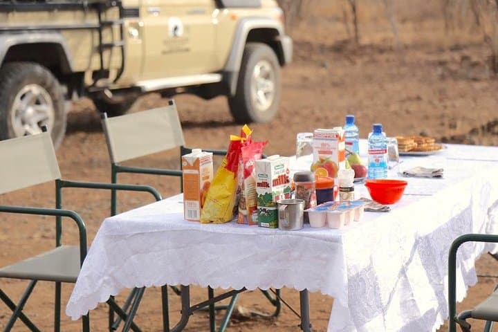 Chobe to Savute 4-Day Safari: Elephants, Lions & Bush Camping photo 4