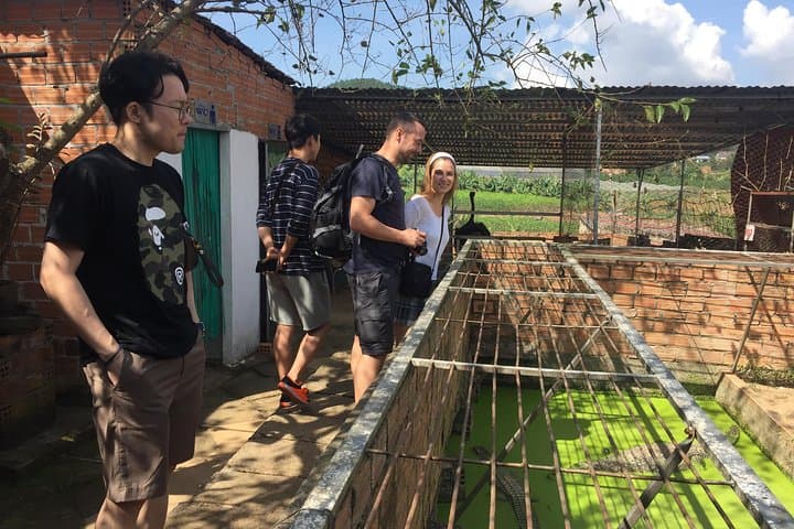 Dalat Waterfalls Tour: Pongour, Elephant & Datanla in One Day photo 5