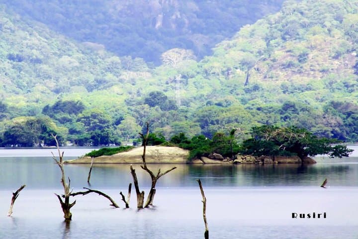 Sri Lanka Nature, Culture and Wild Tour — 11-Day Wildlife, Tea Country & Coastal Journey photo 2