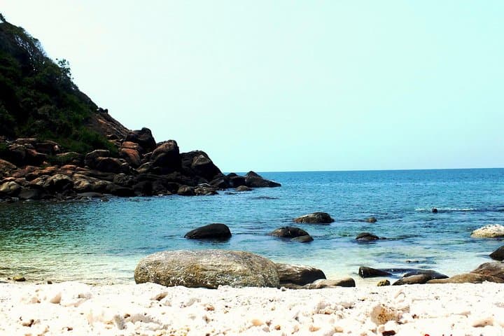 Sri Lanka Nature, Culture and Wild Tour — 11-Day Wildlife, Tea Country & Coastal Journey photo 3