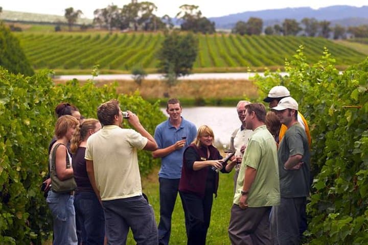 Chianti-Hills-Horseback-Ride-and-Wine-Tasting-in-Tuscany