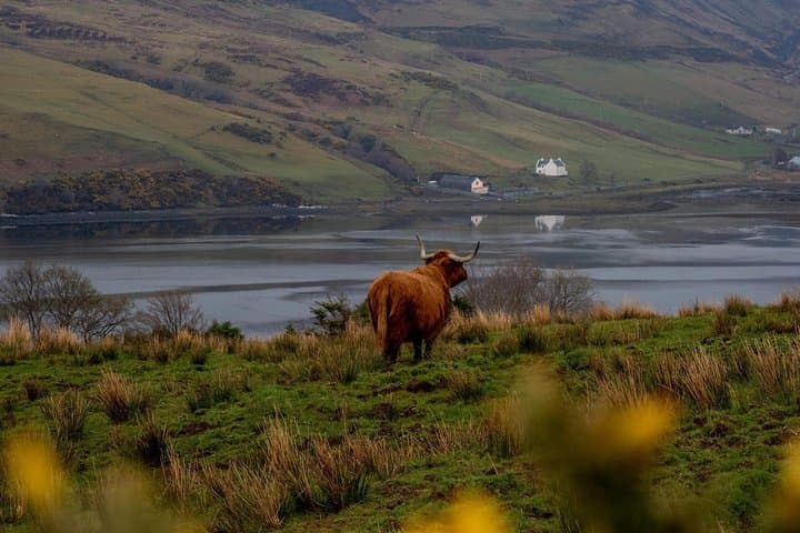 Full-Day Isle of Skye and Fairy Pools Tour from Inverness photo 2