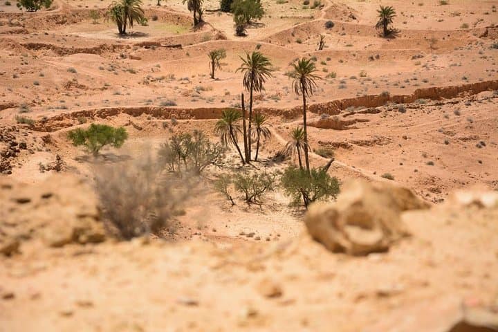 Three Desert and Mountain Oases: South Tunisia 7–8 Day Circuit