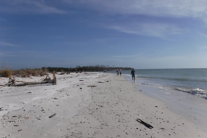 2-Hour Shelling Tour in the 10,000 Islands: Remote Barrier-Island Beaches & Wildlife photo 3