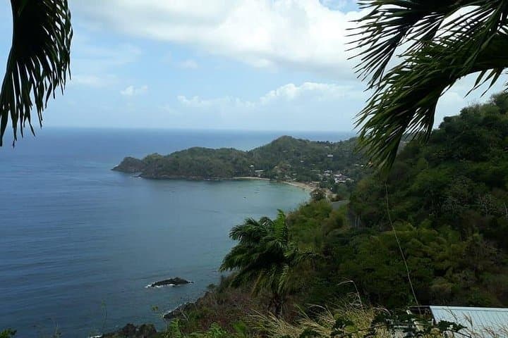 Tobago Rainforest & Island Nature Tours: Birdwatching, Waterfalls and Wildlife photo 2