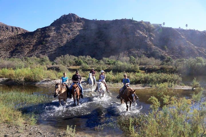Beach and Estuary Horseback Ride at La Mision, Baja photo 3