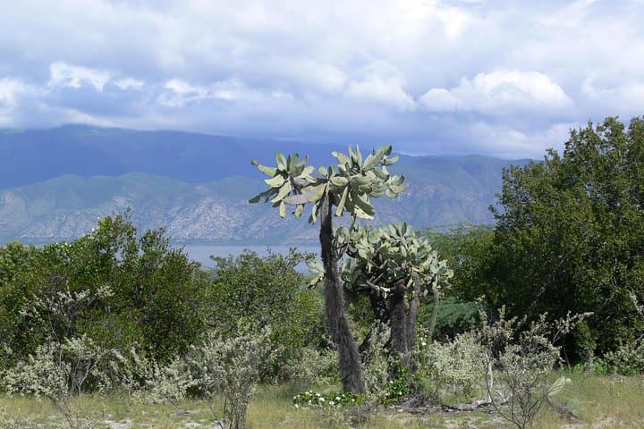 Lake Enriquillo Wildlife & Boat Tour — Isla Cabritos, Neyba photo 4