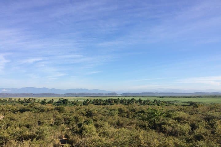 Lake Enriquillo Wildlife & Boat Tour — Isla Cabritos, Neyba photo 5