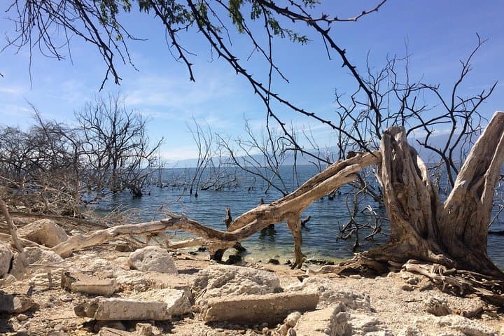 Lake Enriquillo Wildlife & Boat Tour — Isla Cabritos, Neyba photo 3