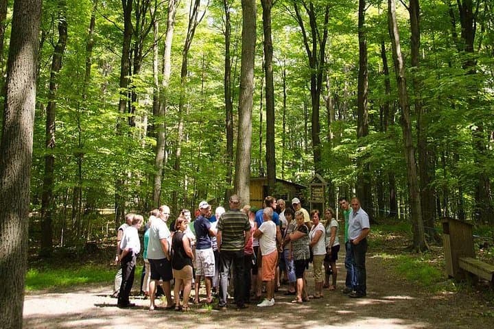 Discover Maple Sugar Bush Tour: Behind-the-Scenes of Ontario Maple Syrup