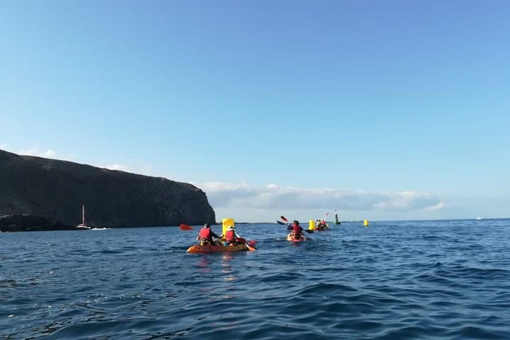 Tenerife Kayak Adventure: Paddle with Dolphins & Sea Turtles photo 3