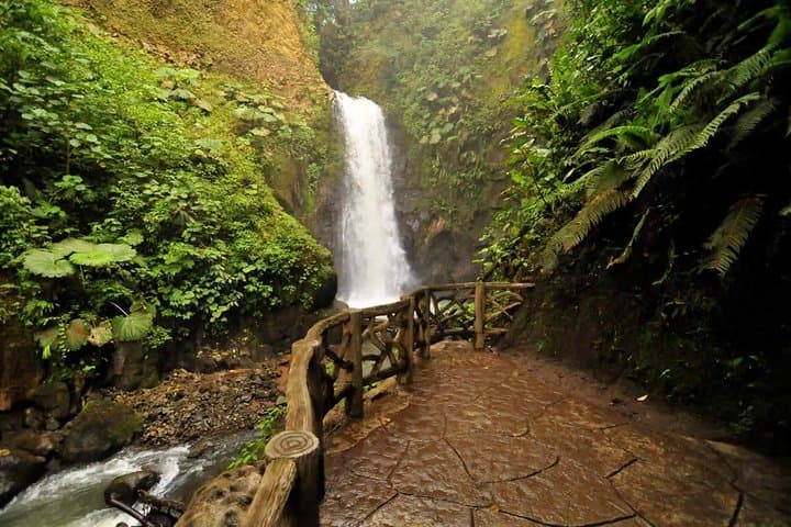 Discover Costa Rica in 8 Days: Volcanoes, Rainforests, and Pacific Coast Adventures photo 6