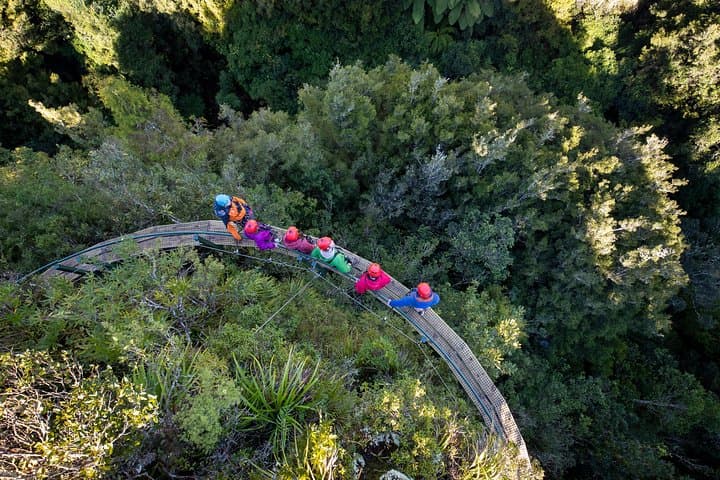 Rotorua Ultimate Zipline Canopy Adventure: 6 Ziplines & 400m Tandem photo 6