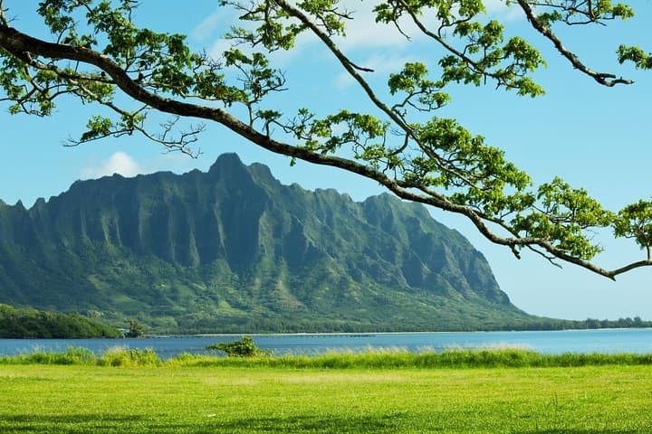 Private North Shore Adventure: Custom Full-Day Tour from Oahu photo 5