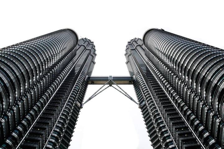 Kuala Lumpur Full-Day Shore Excursion: Batu Caves, Petronas & City Highlights photo 2