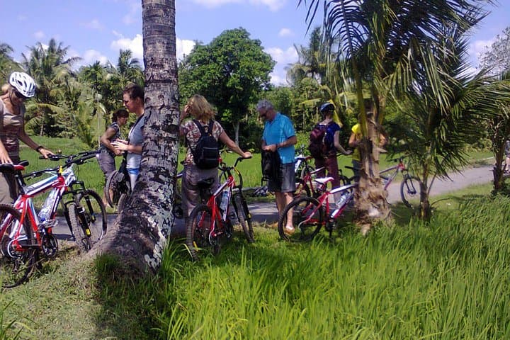 Lombok Village Cycling: Suranadi to Lingsar Temple Ride photo 5