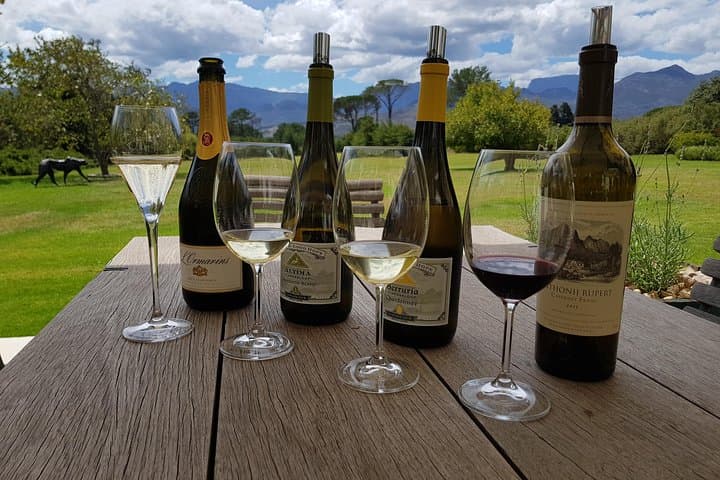 Private Cape Winelands Tour — Customized Stellenbosch & Paarl Wine Tastings photo 4