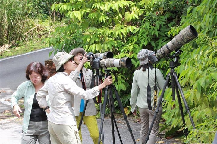 Fraser's Hill Bird-Watching Day Trip from Kuala Lumpur