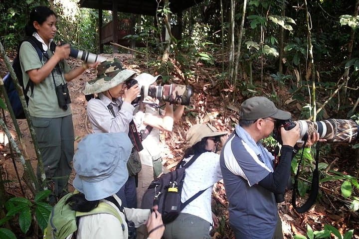 Fraser's Hill Bird-Watching Day Trip from Kuala Lumpur photo 5