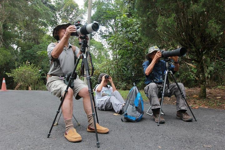 Fraser's Hill Bird-Watching Day Trip from Kuala Lumpur photo 3