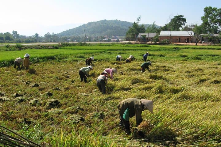 Thrilling 2-Day Cycling Adventure from Dalat to Nha Trang photo 3