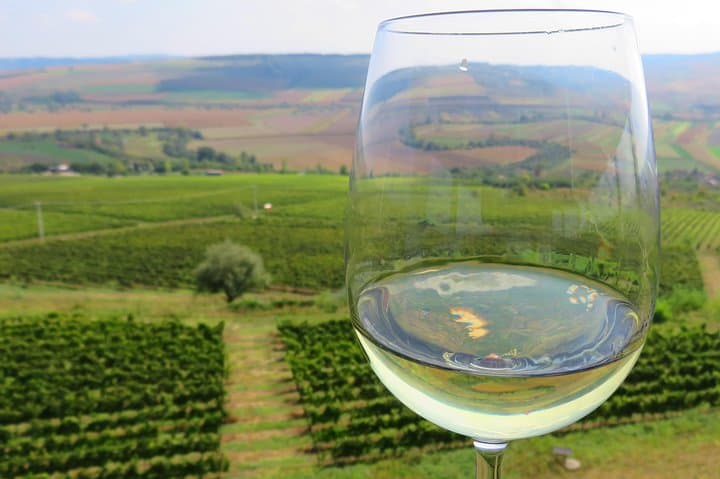 Dealu Mare Wine Route by Bike — Half-Day Cycling & Tastings from Urlați