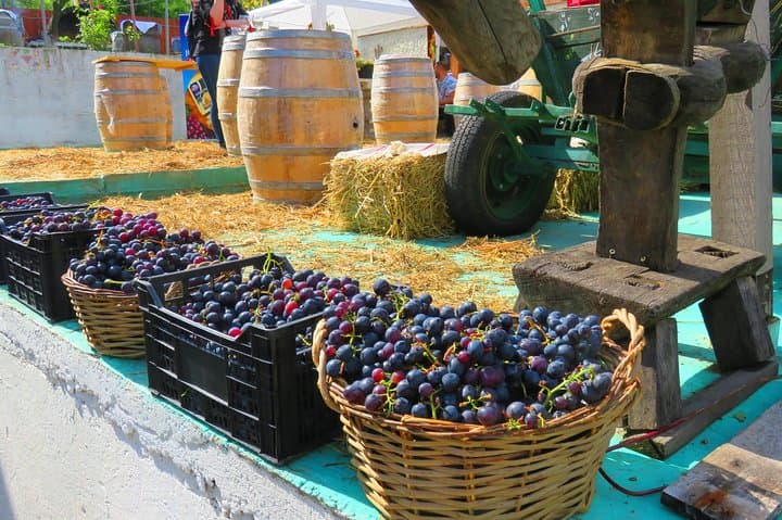 Dealu Mare Wine Route by Bike — Half-Day Cycling & Tastings from Urlați photo 4